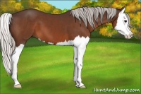 Horse Color:Silver Brown Splash 