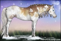 Horse Color:White Spotted Chocolate Silver Buckskin Onyx Splash 