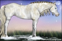 Horse Color:White Spotted Liver Chestnut Ice Pearl Sabino Splash