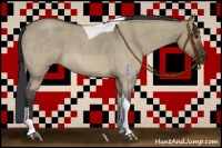 Horse Color:Brown Roan Dun Tobiano Rabicano