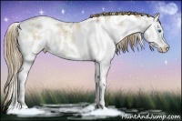 Horse Color:Liver Red Dun Ice Pearl Sabino Splash