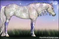 Horse Color:Watercolor White Spotted Silver Brown 