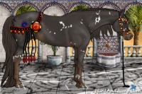 Horse Color:White Spotted Liver Chestnut Rabicano 