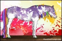 Horse Color:Painted White Spotted Chocolate Palomino Splash