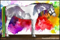 Horse Color:Painted Buckskin Splash Tobiano 