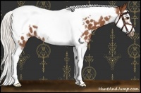 Horse Color:Silver Bay Splash Tobiano Frame Near Leopard Rabicano 