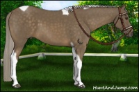 Horse Color:Chocolate Palomino Tobiano 