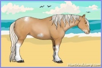 Horse Color:White Spotted Silver Brown Pearl Tobiano Frame 