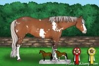 Horse Color:White Spotted Silver Brown Splash Rabicano 