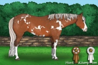 Horse Color:White Spotted Silver Brown Splash 
