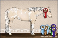 Horse Color:White Spotted Silver Buckskin Pearl 