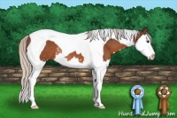 Horse Color:White Spotted Silver Brown Splash Tobiano Rabicano 