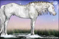 Horse Color:Chocolate Silver Grullo Chinchilla Ice Sabino Brindle