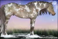 Horse Color:White Spotted Liver Red Dun 