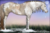 Horse Color:White Spotted Liver Chestnut Ice Pearl Sabino