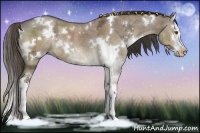 Horse Color:White Spotted Liver Red Dun Ice Sabino Splash