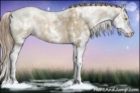 Horse Color:Liver Chestnut Pearl Sabino 