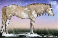 Horse Color:White Spotted Liver Chestnut Ice Pearl Splash 
