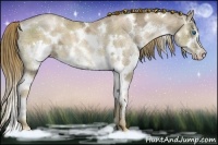 Horse Color:White Spotted Liver Chestnut Ice Pearl Sabino Splash 