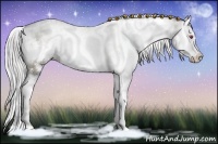 Horse Color:White Spotted Chocolate Silver Blue Onyx Chinchilla Ice Sabino Splash 