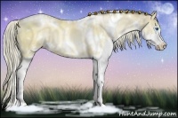 Horse Color:White Spotted Liver Red Dun Pearl Splash 