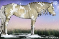 Horse Color:White Spotted Chocolate Palomino Ice Pearl Dun Sabino