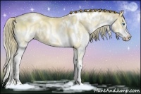 Horse Color:White Spotted Liver Red Dun Pearl Splash 