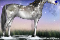 Horse Color:White Spotted Brown Ice Dun Splash