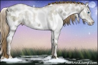 Horse Color:Smoky Grullo Ice Pearl Sabino Splash 