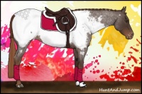 Horse Color:Liver Red Roan Near Fewspot 