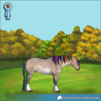 Horse Color:Painted Brown Dun Sabino Tobiano