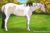Horse Color:Brown Roan Dun Tobiano 