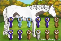 Horse Color:Silver Black Splash Tobiano 