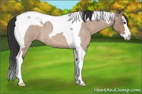 Horse Color:Brown Roan Dun Splash Tobiano 