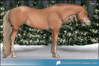 Horse Color:Gold Champagne Rabicano 