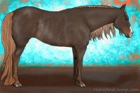 Horse Color:Liver Chestnut Rabicano