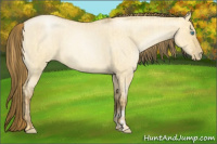 Horse Color:Buckskin Roan Pearl Dun  and Gray Buckskin Roan Pearl Dun 