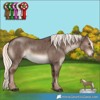 Horse Color:Liver Red Dun Mushroom Rabicano Brindle 