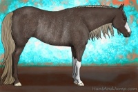 Horse Color:Liver Chestnut Rabicano 