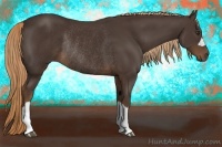 Horse Color:Liver Chestnut Rabicano 