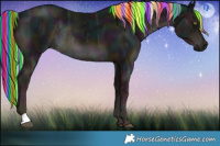 Horse Color:Painted Midnight Liver Chestnut Ice Mushroom Rabicano 