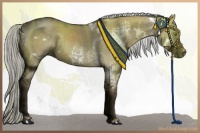 Horse Color:White Spotted Midnight Liver Red Dun Rabicano 