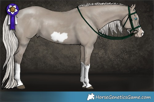 Horse Color:Silver Smoky Grullo Splash Frame 