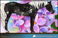 Horse Color:White Spotted Midnight Liver Chestnut Mushroom Rabicano 