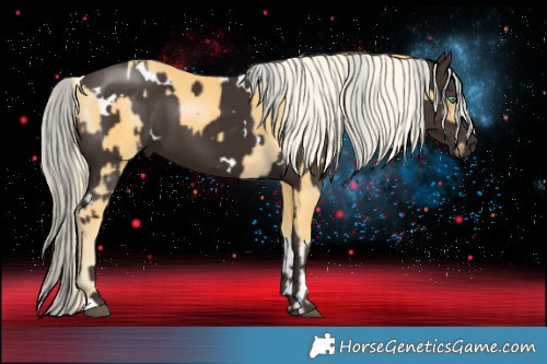 Horse Color:Palomino Mushroom Tobiano  and White Spotted Liver Chestnut Mushroom 