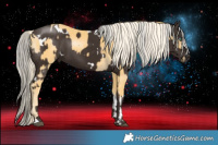 Horse Color:Palomino Mushroom Tobiano  and White Spotted Liver Chestnut Mushroom 