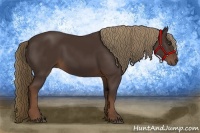 Horse Color:Liver Chestnut Rabicano