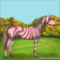 Horse Color:Liver Chestnut Rabicano 