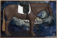 Horse Color:Liver Chestnut Rabicano 