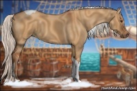 Horse Color:Silver Bay Dun Sabino Tobiano Rabicano 